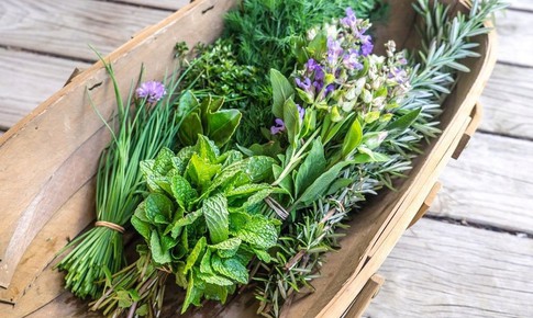 5 loại rau gia vị tốt nhất giúp giảm viêm và tăng cường sức khỏe tim mạch