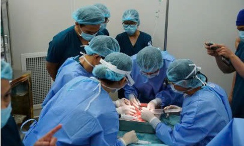 Bệnh viện Nhi đồng 1 ghép thận thành công ca đầu tiên cho bệnh nhi 14 tuổi