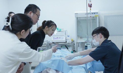 Mirai Care đồng hành cùng bé Hải Đăng điều trị tế bào gốc tại Nhật Bản