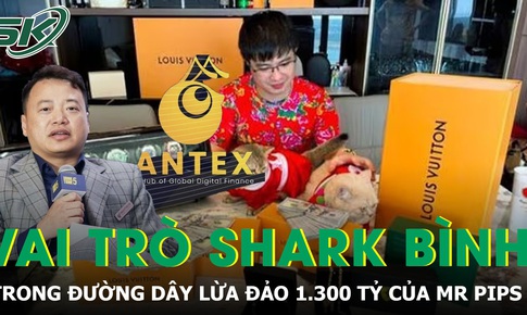 Hé lộ vai trò của Shark Bình trong đường dây lừa đảo 1.300 tỷ liên quan Mr Pips