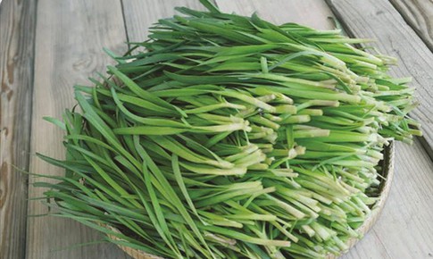 29 bài thuốc chữa bệnh từ cây rau hẹ