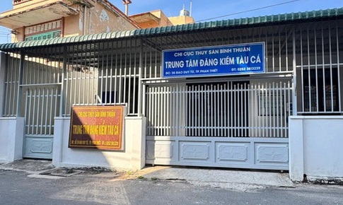 Bắt 3 cán bộ, nhân viên Trung tâm đăng kiểm tàu cá Lâm Đồng