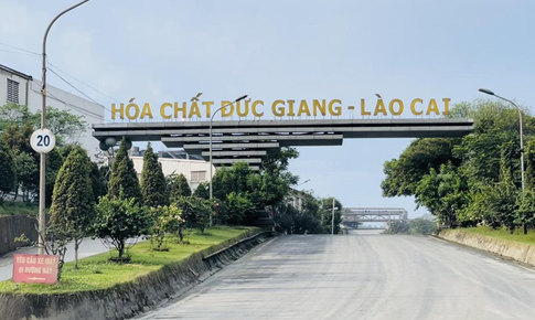 Cổ phiếu DGC của Hóa chất Đức Giang được giải cứu