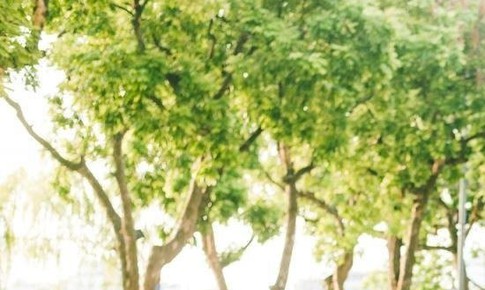 Miền Bắc giảm mưa, trời hửng nắng ở nhiều khu vực