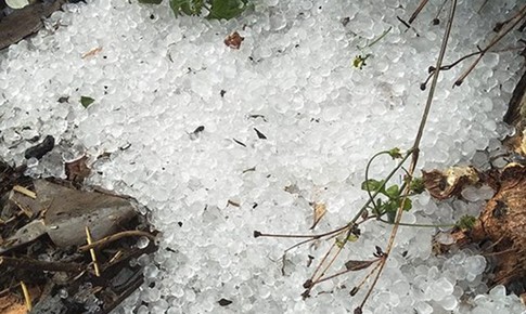 Mưa đá, dông lốc gây thiệt hại hàng trăm nhà ở tại miền núi phía Bắc