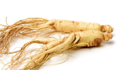 Thời điểm tốt nhất dùng nhân sâm tăng năng lượng và cải thiện trí não