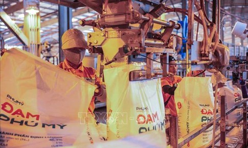 Tìm giải pháp ổn định thị trường phân bón trong nước