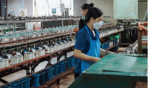 Tơ tằm Á Châu vi phạm chứng khoán