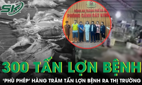 Hà Nội: Phá đường dây ‘phù phép’ 300 tấn lợn bệnh vào trường học, chợ dân sinh