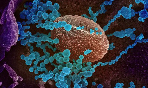 Campuchia giám sát biến thể mới của virus SARS-CoV-2