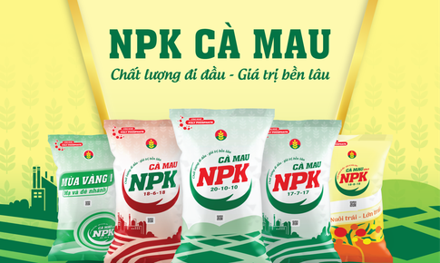 BSC khuyến nghị mua cổ phiếu DCM