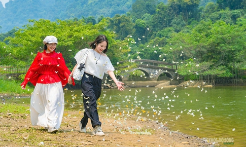Mùa bướm ở Cúc Phương đến sớm, hút khách tham quan