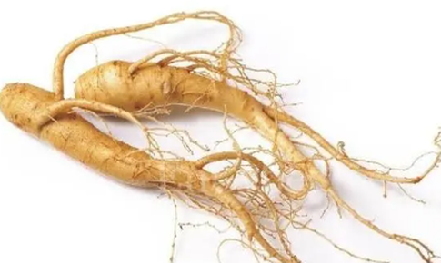 4 loại thảo dược cần tránh khi uống thuốc huyết áp, trong đó có trà xanh