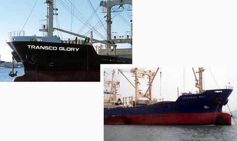 Thành viên HĐQT Transco từ chức