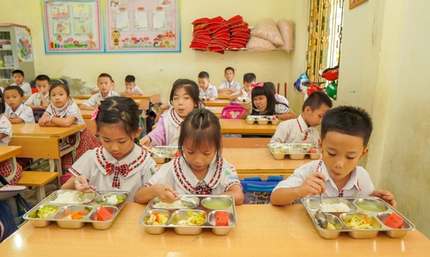 Vai trò của rau lá, rau củ quả trong bữa ăn hàng ngày của lứa tuổi học đường