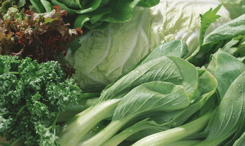 Top 5 loại rau xanh giàu canxi hơn sữa: Giải pháp tự nhiên cho xương chắc khỏe