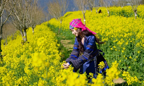 Sa Pa: 8/3 này, lên Fansipan 'săn' mây, ngắm hoa và xem show 'Đỉnh thiêng du ký'