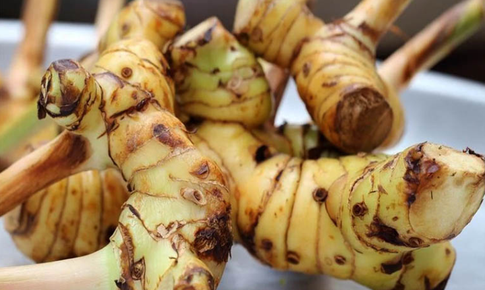 Củ riềng: Gia vị giúp bảo vệ hệ tiêu hóa khi ăn đồ sống, lạnh