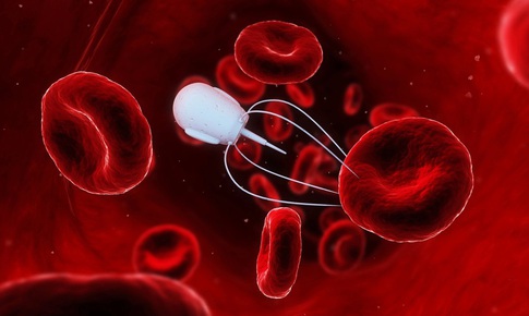 Robot DNA siêu nhỏ săn lùng virus và đưa thuốc vào cơ thể