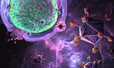 Lần đầu ‘tái thiết lập’ hệ miễn dịch, cứu sống bệnh nhân mắc 3 bệnh tự miễn nguy hiểm