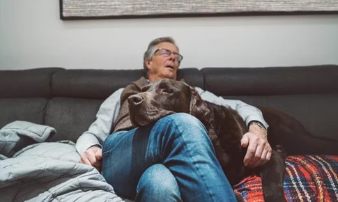 4 rối loạn giấc ngủ có thể là dấu hiệu cảnh báo sa sút trí tuệ