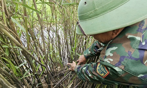 Từ 'sát thủ chim trời' thành người giữ hồn đầm phá Hạc Hải