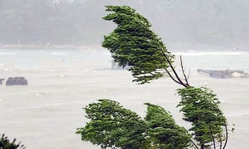 Khả năng xuất hiện bão mạnh trong mùa mưa bão năm nay thế nào?