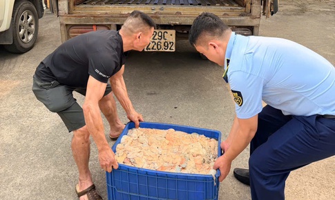 Phát hiện hơn nửa tấn lòng lợn bốc mùi hôi thối đang trên đường tiêu thụ