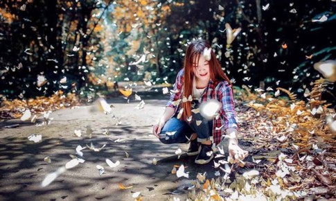 Không nên bắt bướm, xua đuổi bướm bay lên để chụp ảnh ở Vườn quốc gia Cúc Phương