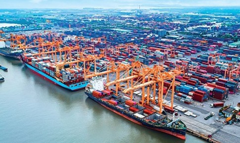 TPS khuyến nghị mua cổ phiếu VSC