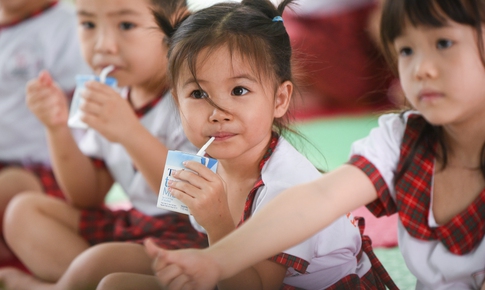 Vai trò của sữa tươi và cách chọn sữa đúng cho lứa tuổi học đường