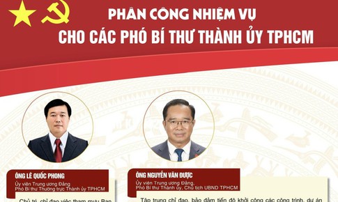 [Infographic] Phân công nhiệm vụ các Phó Bí thư Thành ủy TPHCM