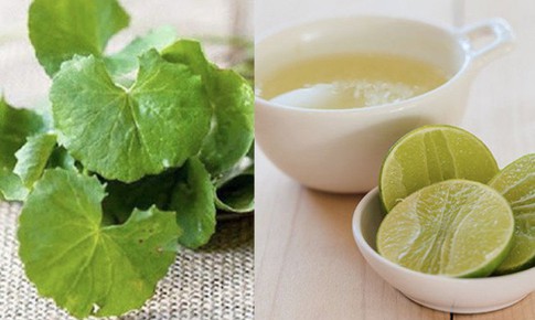 Mẹo chữa nám da từ rau má