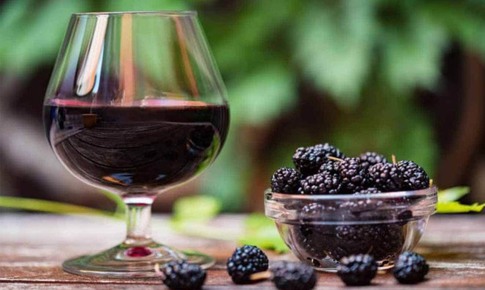 Bí quyết ngăn ngừa tóc bạc sớm từ quả dâu tằm