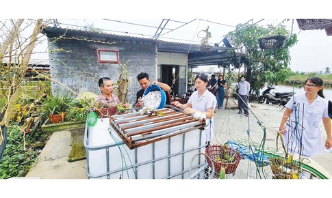 Bộ Y tế: Các tỉnh, thành phố đảm bảo nước sạch, vệ sinh môi trường, phòng chống dịch mùa mưa lũ 2026