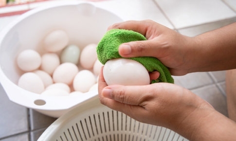 Bảo quản trứng thế nào để giữ được chất dinh dưỡng tốt nhất?
