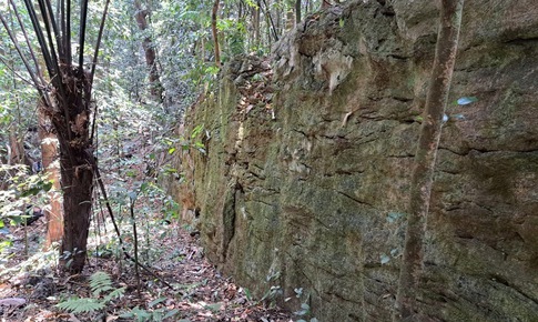 Sự thật về bức tường đá giữa rừng già