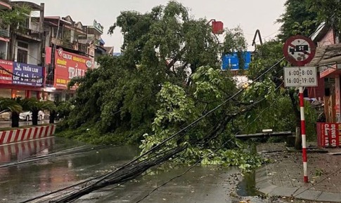 Cảnh báo dông lốc, mưa đá ở khu vực Bắc Bộ và Thanh Hóa