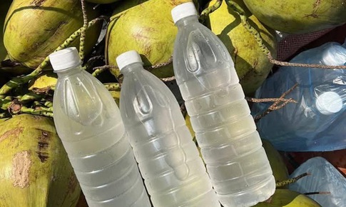 4 loại đồ uống giúp giảm axit uric hiệu quả