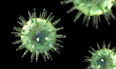 Các nhà khoa học vừa tìm ra cách ngăn chặn loại virus lây nhiễm tới 95% dân số thế giới