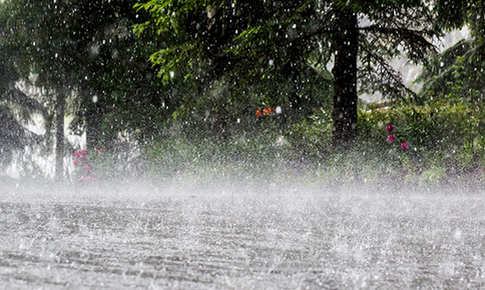 Cập nhật mới nhất thiệt hại do thiên tai dông lốc, mưa đá