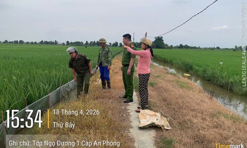 Cảnh báo nguy cơ chết người từ việc dùng điện bẫy chuột