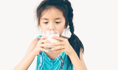 Nhận diện các loại sữa và cách lựa chọn phù hợp cho từng thể trạng