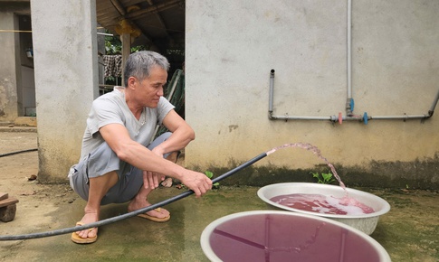Truy tìm nguyên nhân nguồn nước sinh hoạt đổi màu tím, bốc mùi tanh hôi