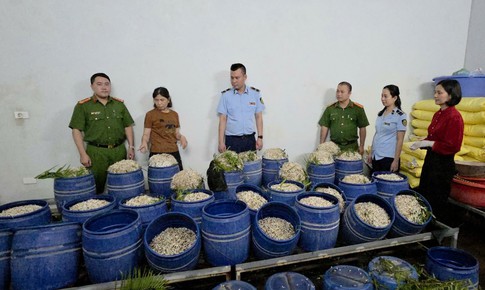 Quảng Ninh: Chủ tịch UBND xã, phường chịu trách nhiệm toàn diện về an toàn thực phẩm trên địa bàn