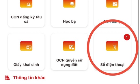 Không thấy số thuê bao di động trên VNeID cần làm gì?