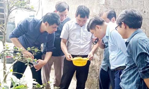 Siết chặt giám sát sốt xuất huyết tại Nghệ An trước mùa dịch
