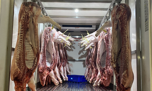 TPHCM siết an toàn thực phẩm từ khâu giết mổ đến bếp ăn