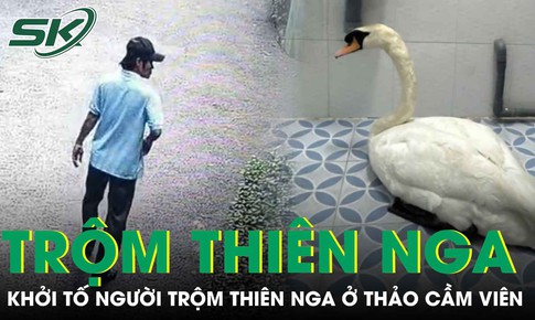 Khởi tố người đàn ông trộm thiên nga trắng trong Thảo Cầm Viên đi bán