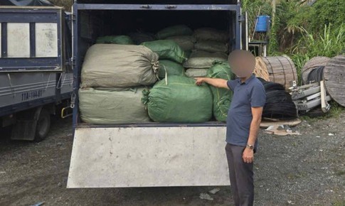 Tạm giữ xe chở hơn 2,6 tấn nguyên liệu thuốc lá không rõ nguồn gốc đang đi tiêu thụ